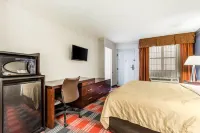 Quality Inn & Suites Airport Hotels in Charlotte