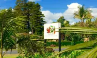 Stay Kerikeri