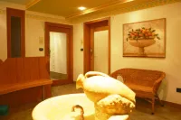克里斯托爾住宅飯店 - 機場接送