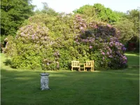 Moorlands Hotels in Challacombe
