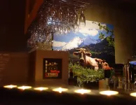 Hotel l'Etable Hotels in Champery