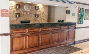 Comfort Inn & Suites Mount Pocono