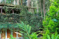 Green Spaces Munnar Hotels in Pallivasal