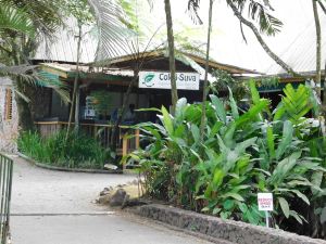 Rainforest Eco Lodge