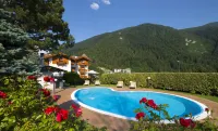Hotel du Lac Hotels in Molveno