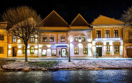 Boutique Hotel Hviezdoslav Отели в г. Вељка Ломњица