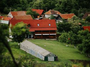 Pensiunea Bio Haus