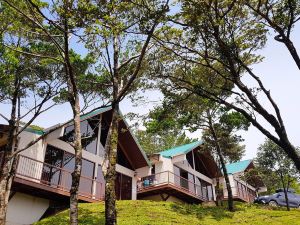 Green Forest Rustic Houses