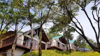 Green Forest Rustic Houses Hotels near Mirador El Tanque Gulf sunset view