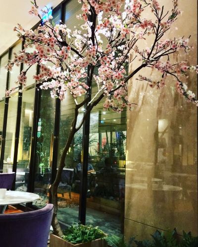 レストラン シティ スイーツ 台北 南東の写真