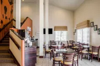Sleep Inn Near Busch Gardens - USF