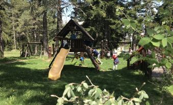 Borovets Hills Ski & Spa - Half Board
