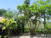 Ilha de Toque Toque Eco Hotel Hôtels à : São Sebastião