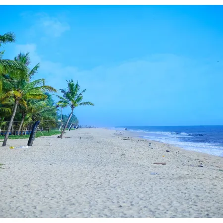 Seclude Kerala, Marari Sands