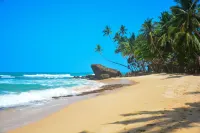 Sayura Beach Hotel Hotels in Talpe