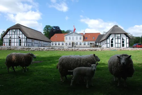 Fladbro Kro Hotels in Randers Municipality