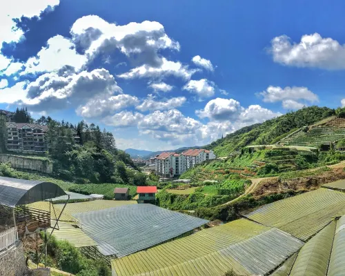 Kea Garden Mini Chalet Hotels near Rose Valley