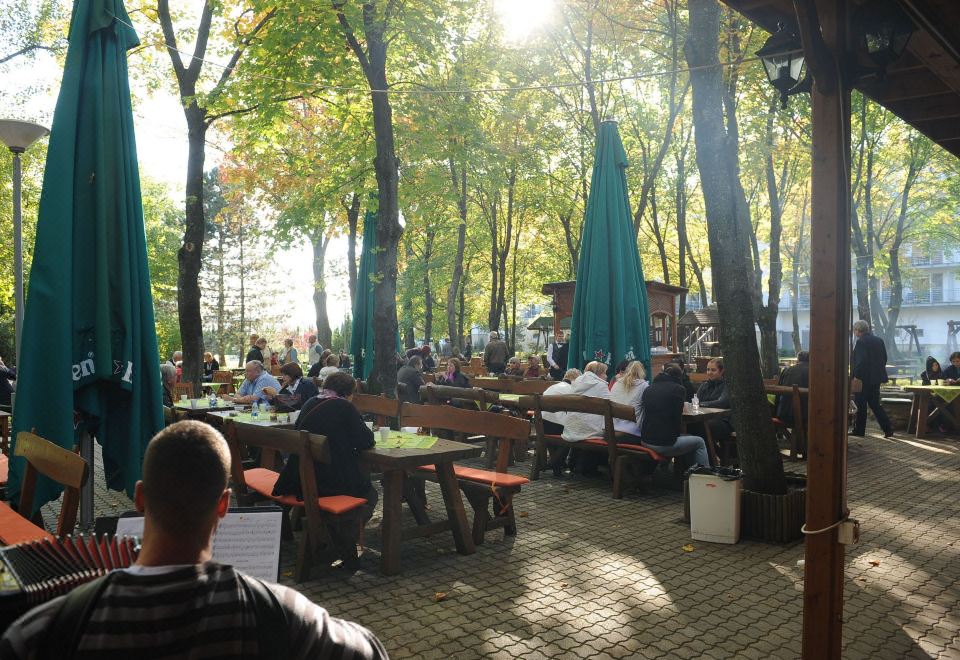 Hunguest Hotel Repce Over view