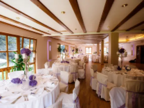 ホテル シャイド シュリースハイムのホテル