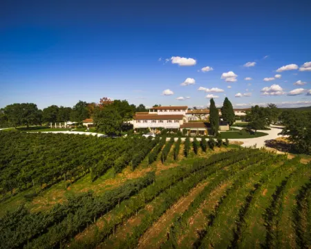 Meneghetti Wine Hotel and Winery - Relais & Chateaux Hotels in Bale