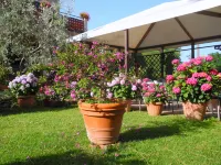 Hotel le Renaie Hôtels à : Gambassi Terme
