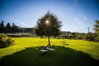 Villa Campestri Olive Oil Resort Hotels in Borgo San Lorenzo