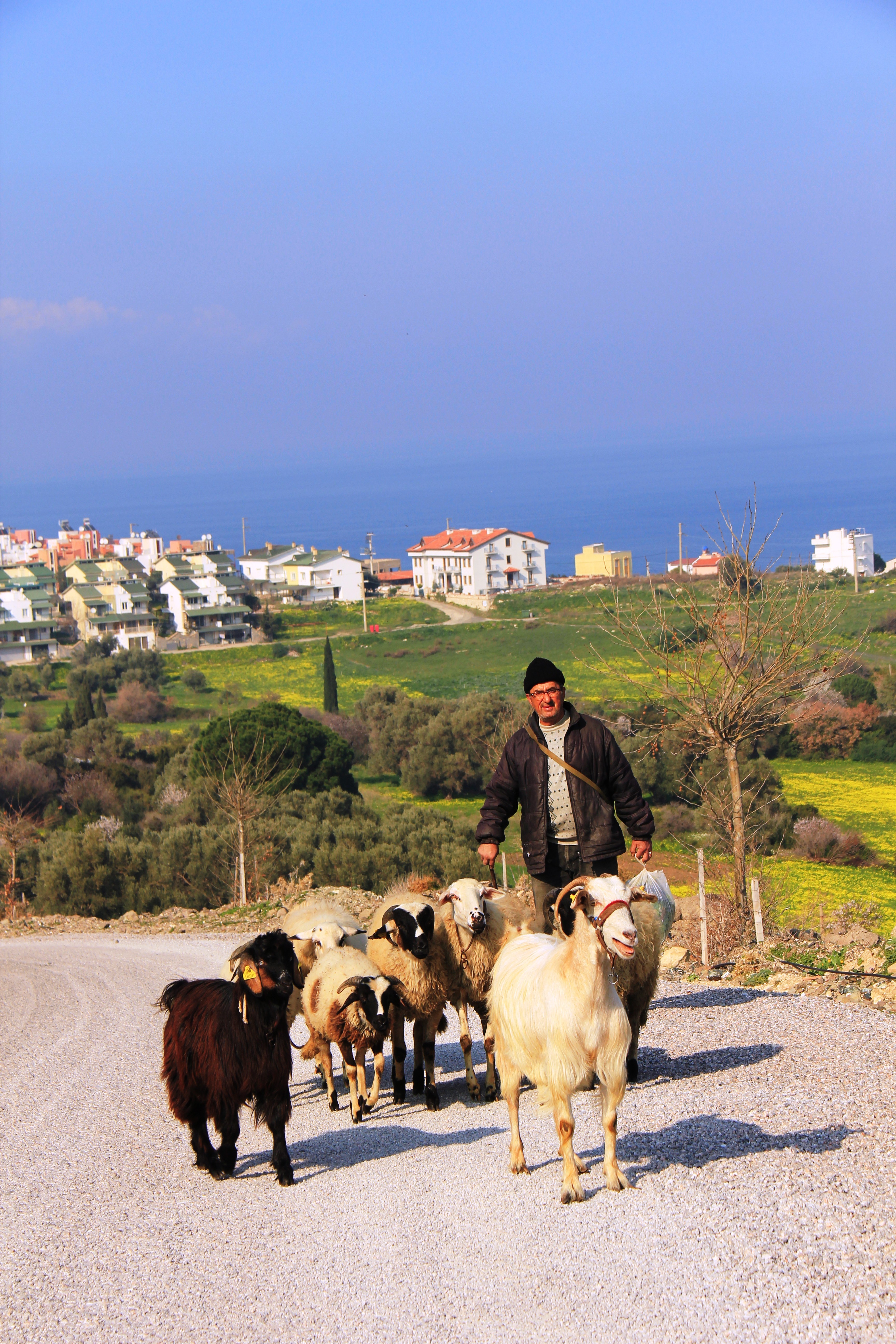 Karaburun Konak Hotel