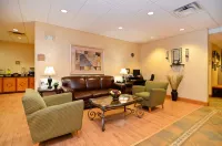 Best Western Plus University Inn