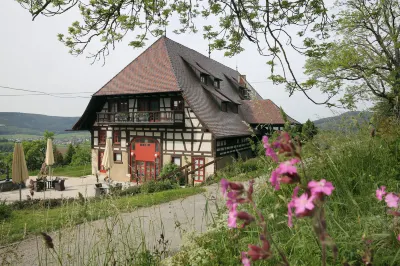 Hotel Hofgut Hohenkarpfen Hotels in Tuttlingen