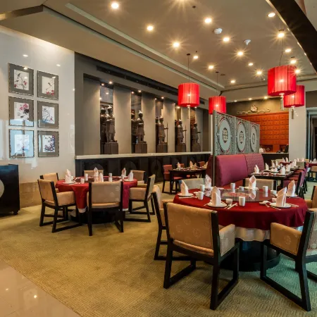 The Alpha Suites