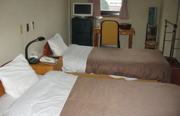 阪出自由日國際酒店