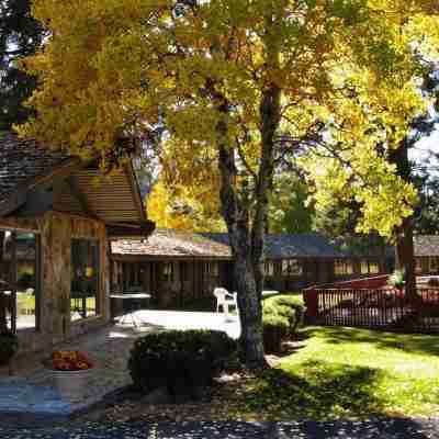 LOGE Camps Bend Hotel Exterior