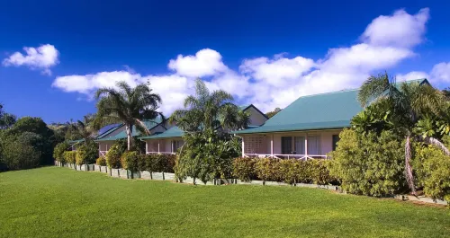 Poinciana Cottages Hotels in Kingston