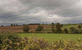 Heart of England, Northampton by Marston's Inns