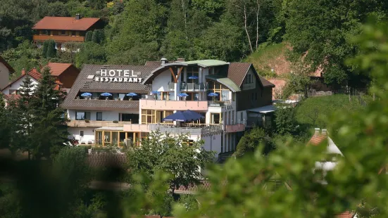 Hotel am Hirschhorn - Wellness - Spa - and More