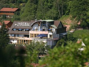 Hotel am Hirschhorn - Wellness - Spa - and More