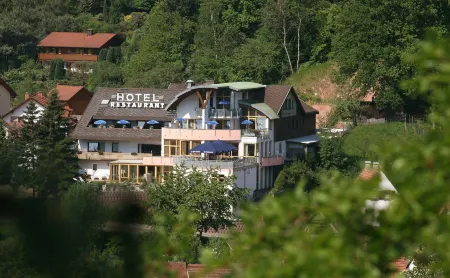 Hotel am Hirschhorn - Wellness - Spa - and More Отели в г. Госсерсвайлер-Штайн