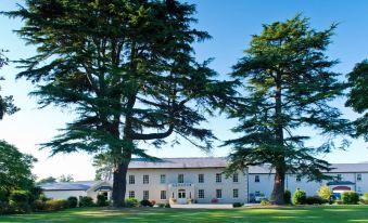 Roganstown Hotel & Country Club