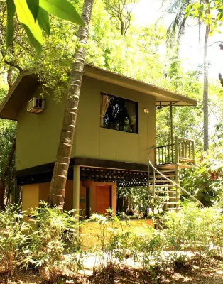 Puerto Barillas Hotels in 