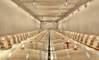 a long row of wine barrels in a dimly lit room , with some wine glasses scattered on the floor at Trossos del Priorat