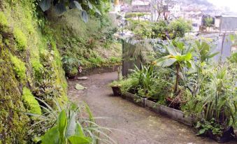 Retreat Lamaz Residency