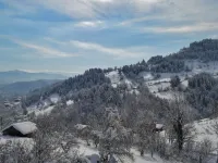 Küre Dağ Evi Ulus otelleri