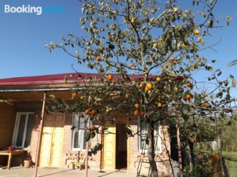 Tiny House - Housity