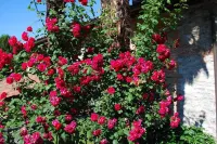 Hotel&Hostel Montarina - Pools