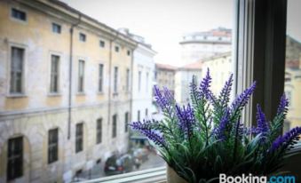B&B Casa del Teatro - Housity