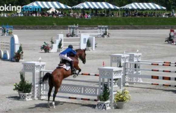 索格蒂斯村莊旅館
