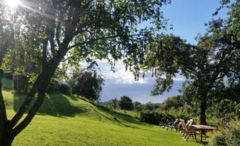 Quaint Holiday Home in Robechies Amid Meadows