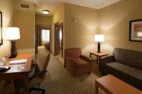 Holiday Inn Express & Suites Chicago West-Roselle Hotel di Bloomingdale