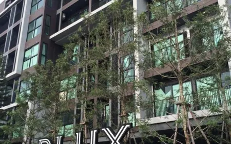 Dlux Condominium