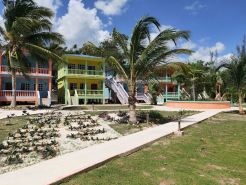 Sunshine View Hotel and Restaurant